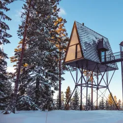 Finnskogen Forest - Kongsvinger