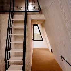 Finnskogen Forest - Kongsvinger