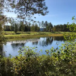 Kongsvinger Golf Club - Kongsvinger