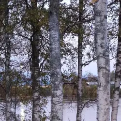 Kongsvinger Skatepark - Kongsvinger