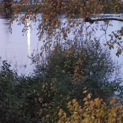 Kongsvinger Skatepark - Kongsvinger