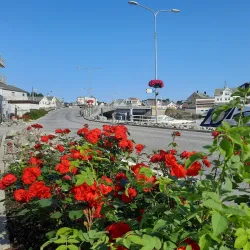 Kopervik Marina - Kopervik