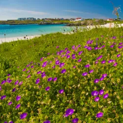 Åkrasanden Beach - Kopervik