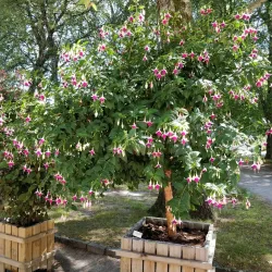 Agder Natural History Museum and Botanical Garden - Kristiansand