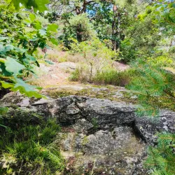 Baneheia and Ravnedalen Parks - Kristiansand