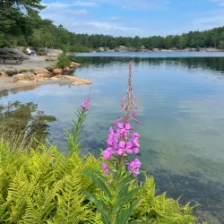 Baneheia and Ravnedalen Parks - Kristiansand