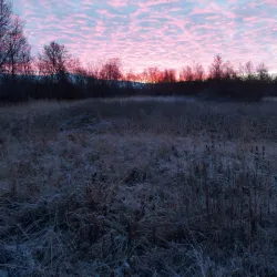 Lakselv River - Lakselv