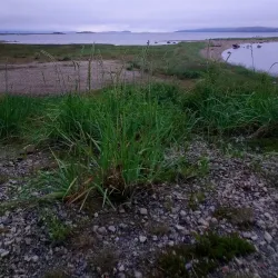 Porsangerfjorden - Lakselv