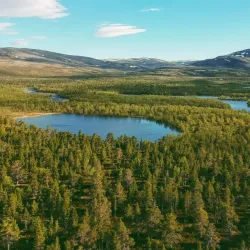 Stabbursdalen National Park - Lakselv