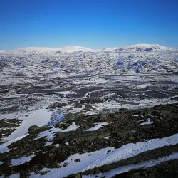Stabbursdalen National Park - Lakselv