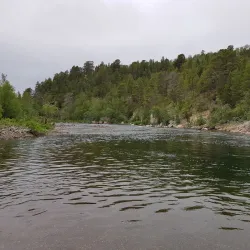 Stabbursdalen National Park - Lakselv