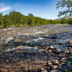 Stabbursdalen National Park - Lakselv
