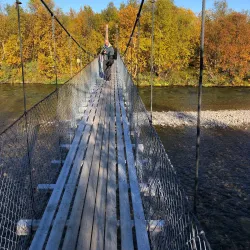 Stabbursdalen National Park - Lakselv