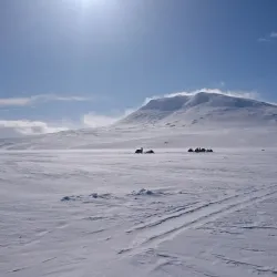 Stabbursdalen National Park - Lakselv