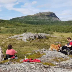 Stabbursdalen National Park - Lakselv