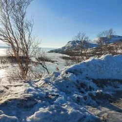 Stabbursnes Nature Center - Lakselv