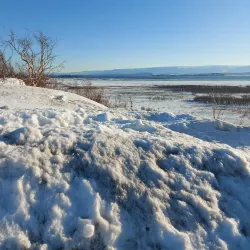 Stabbursnes Nature Center - Lakselv