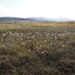 Stabbursnes Nature Center - Lakselv