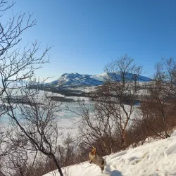 Stabbursnes Nature Center - Lakselv