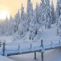 Gudbrandsdalen Valley - Lalm