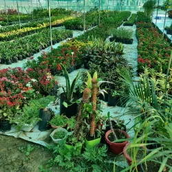 Local Farms and Agritourism - Lalm