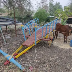 Local Farms and Agritourism - Lalm