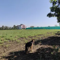 Local Farms and Agritourism - Lalm