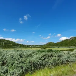 Peer Gynt Road - Lalm