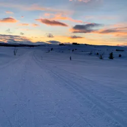 Peer Gynt Road - Lalm