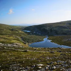 Rondane National Park - Lalm