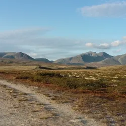 Rondane National Park - Lalm