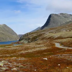 Rondane National Park - Lalm