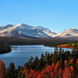 Rondane National Park - Lalm