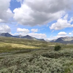 Rondane National Park - Lalm