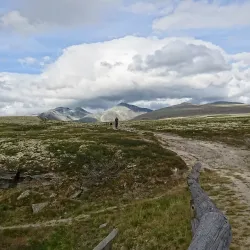 Rondane National Park - Lalm