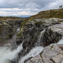 Rondane National Park - Lalm