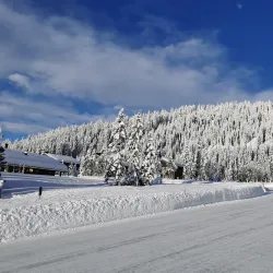 Sjusjøen Ski Resort - Lalm