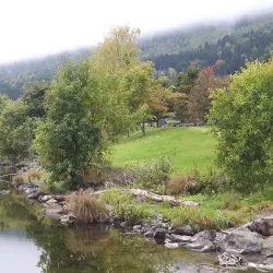 Vingnes Old Church - Lalm