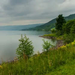 Vingnes Old Church - Lalm