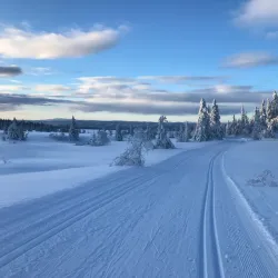 Sjusjøen - Lillehammer