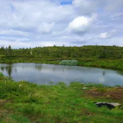 Sjusjøen - Lillehammer