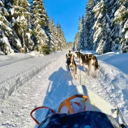 Sjusjøen - Lillehammer