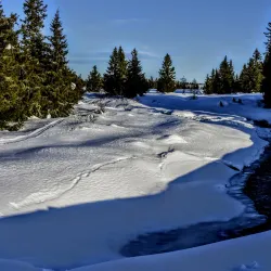 Sjusjøen - Lillehammer
