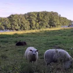 Galleri F15 - Lillestrom