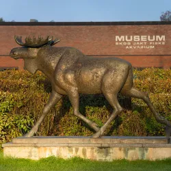Norsk Skogmuseum (Norwegian Forest Museum) - Lillestrom