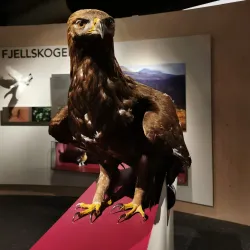 Norsk Skogmuseum (Norwegian Forest Museum) - Lillestrom
