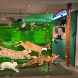Norsk Skogmuseum (Norwegian Forest Museum) - Lillestrom