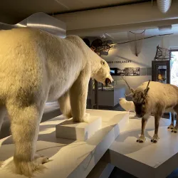 Norsk Skogmuseum (Norwegian Forest Museum) - Lillestrom