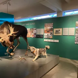 Norsk Skogmuseum (Norwegian Forest Museum) - Lillestrom