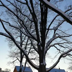 Volla Park - Lillestrom